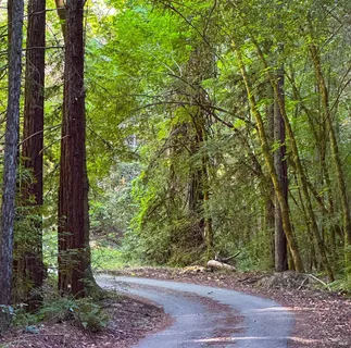 $8,500,000 | 3150 Mill Creek Road, Healdsburg, CA 95448