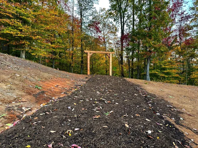 a picture of a book shelf
