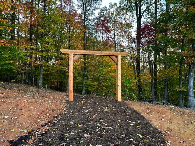 a living room with furniture a window and a potted plant
