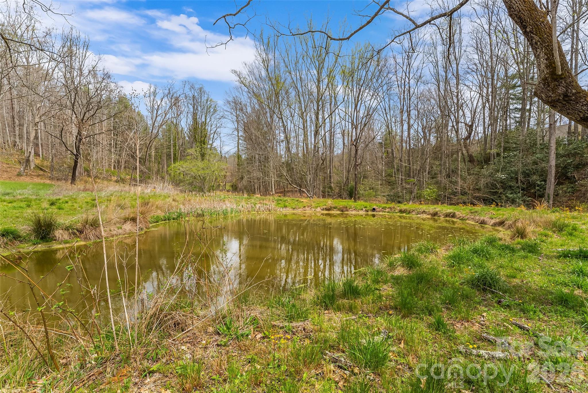 628 Brush Creek Road Fairview, NC 28730 - Photo 5 of 44
