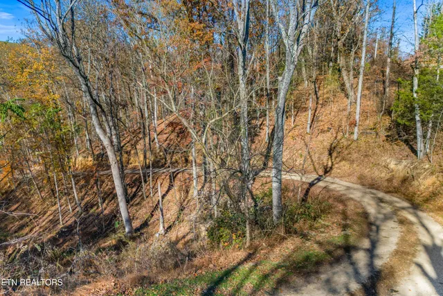 $525,000 | 2895 Looney Road, Parrottsville, TN 37843