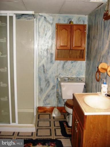 316 Nicholson Road Essex, MD 21221 - Photo 13 of 15 Bath #2