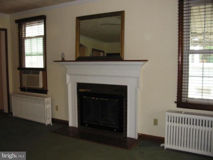 316 Nicholson Road Essex, MD 21221 - Photo 4 of 15 Fireplace