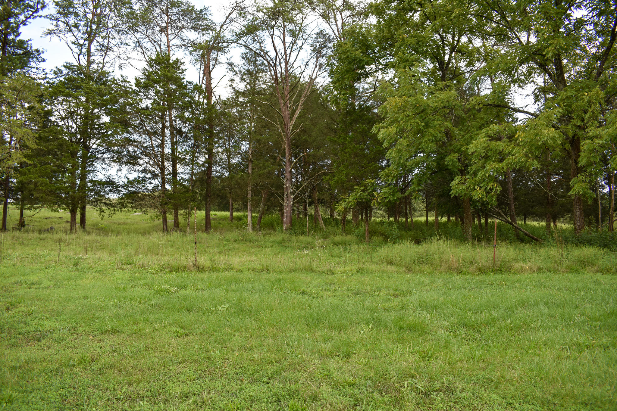 136 Doc Hill Road Rutledge, TN 37861 - Photo 32 of 34 DSC_0556