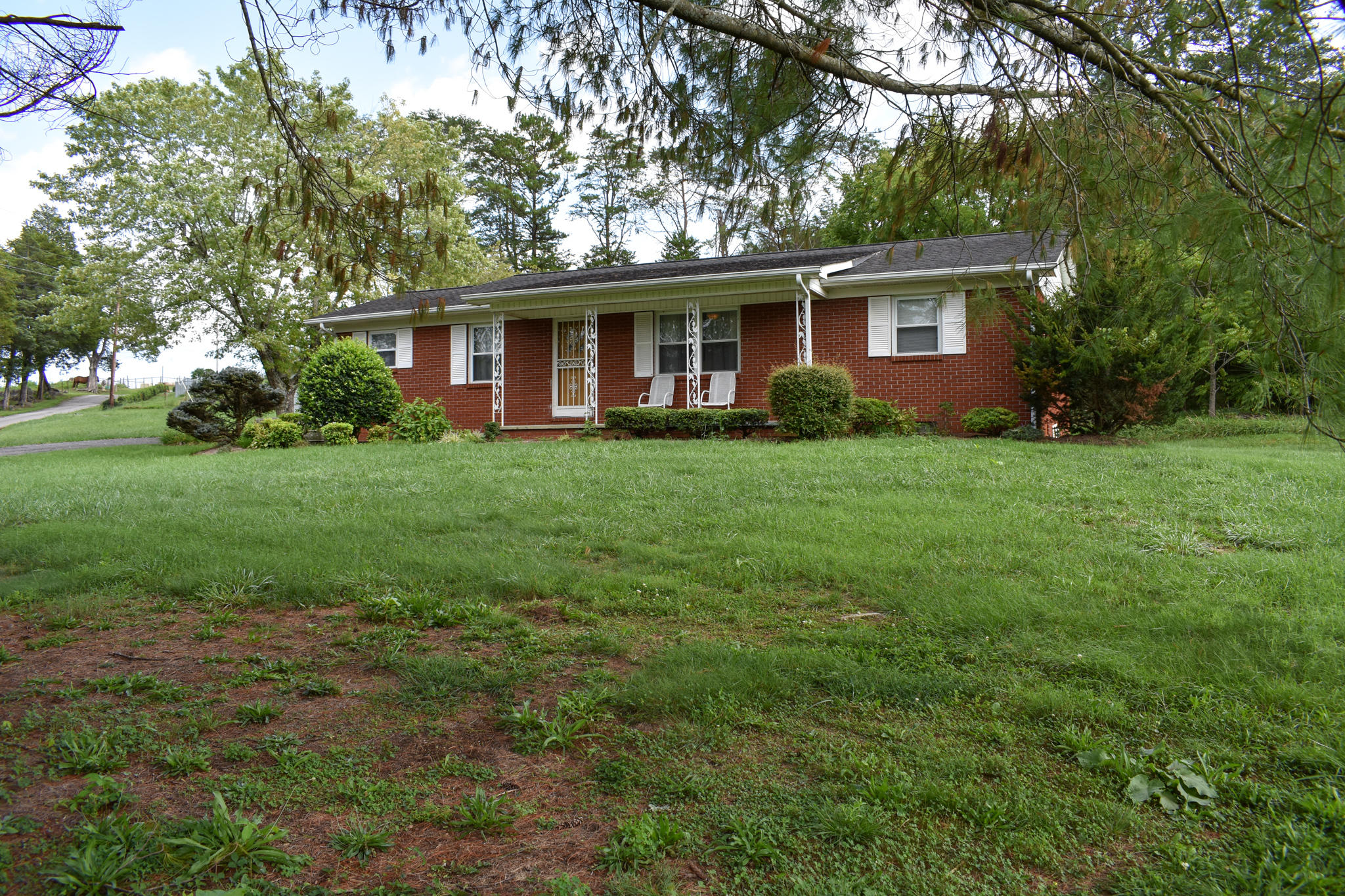 136 Doc Hill Road Rutledge, TN 37861 - Photo 5 of 34 DSC_0524