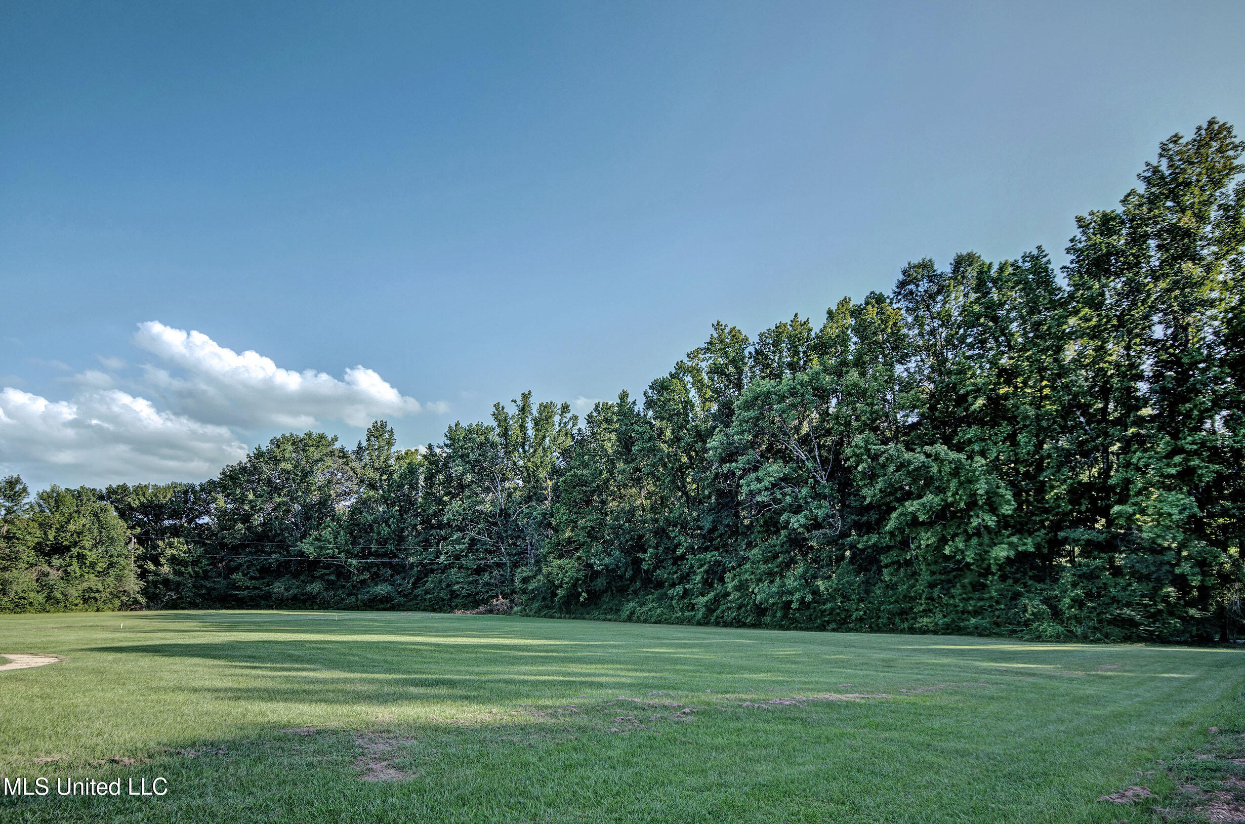 360 Haynes Chapel Road Pelahatchie, MS 39145 - Photo 40 of 47 IMGP2170_1_2