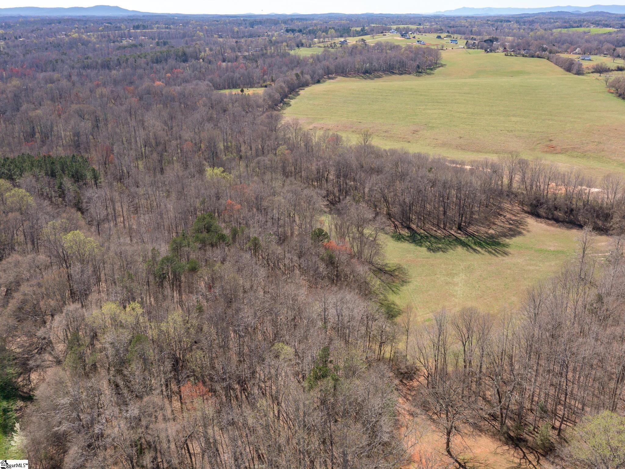 285 Nodine Road Campobello, SC 29322 - Photo 31 of 36 Gallery Image 31