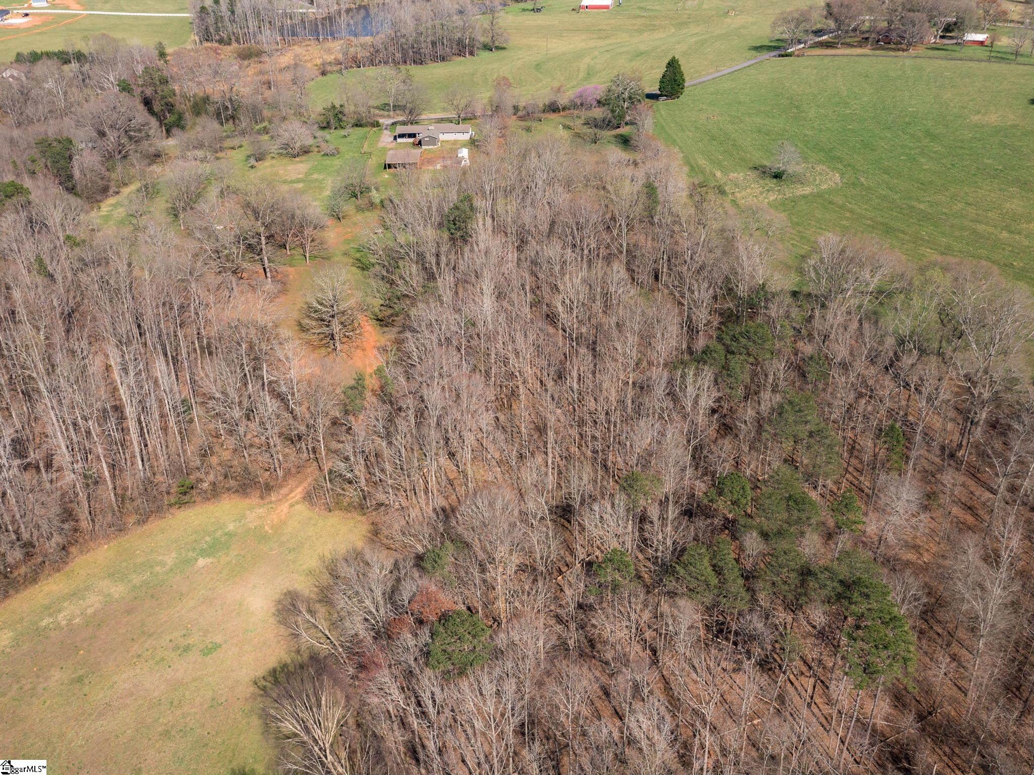 285 Nodine Road Campobello, SC 29322 - Photo 32 of 36 Gallery Image 32