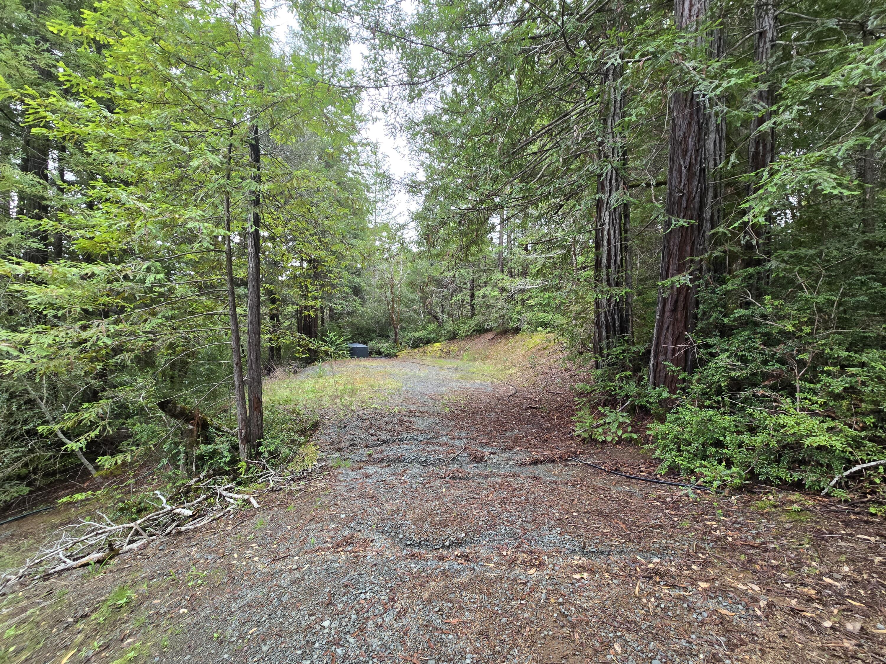 0 Sequoia Road Myers Flat, CA 95554 - Photo 26 of 36