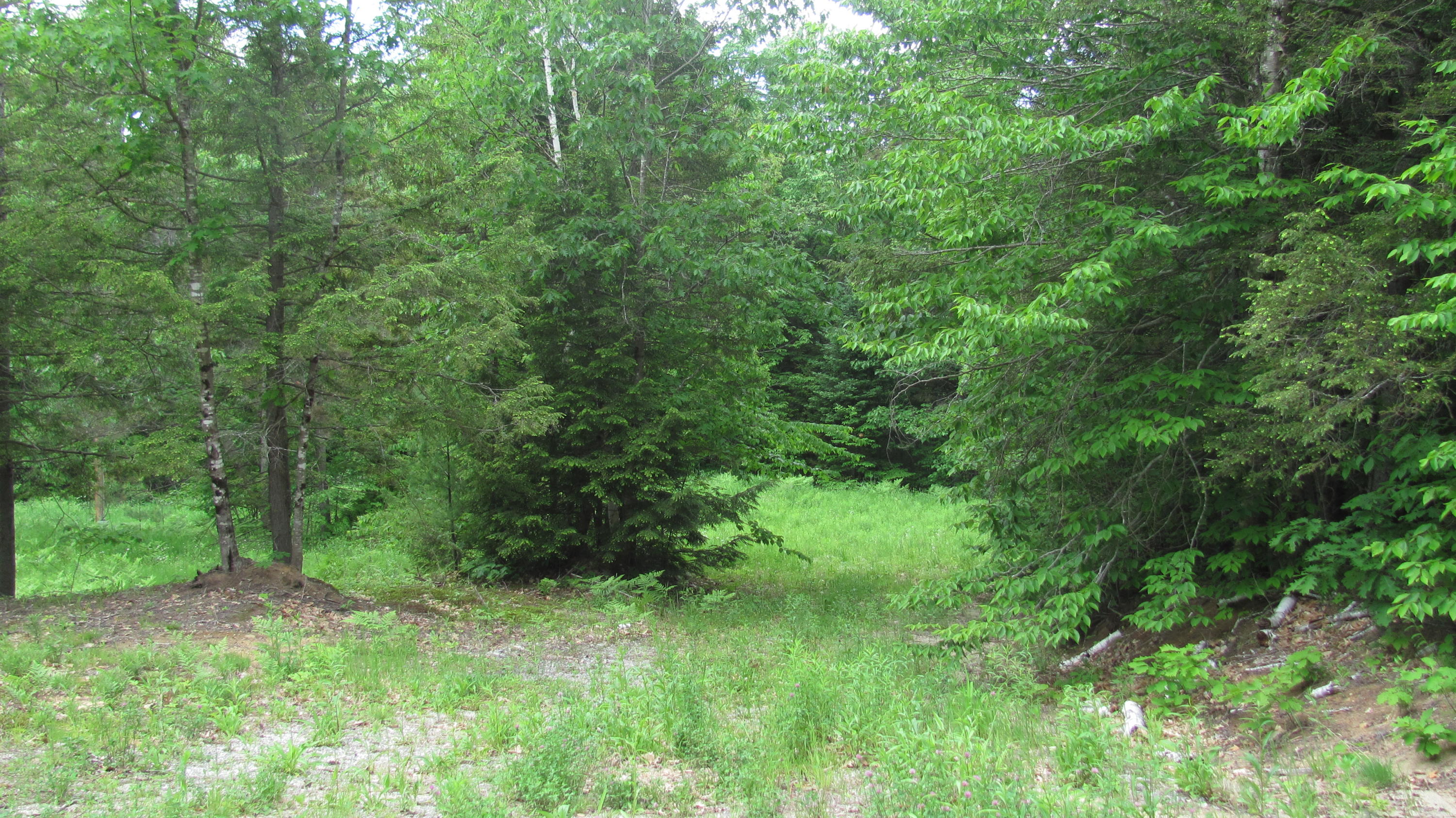 77 5 Kezar Road Waterford, ME 04088 - Photo 1 of 2 IMG_1047