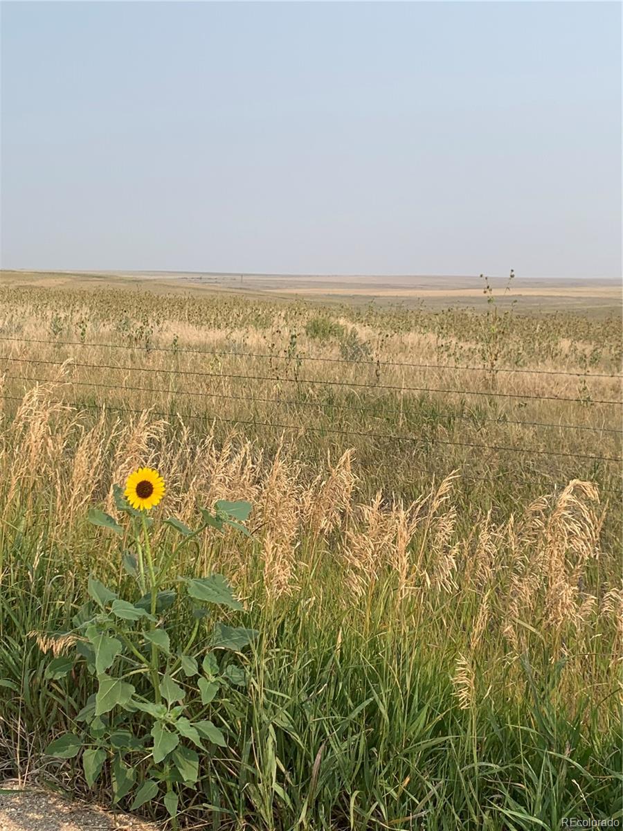 39115 County Road 166 Agate, CO 80101 - Photo 3 of 34