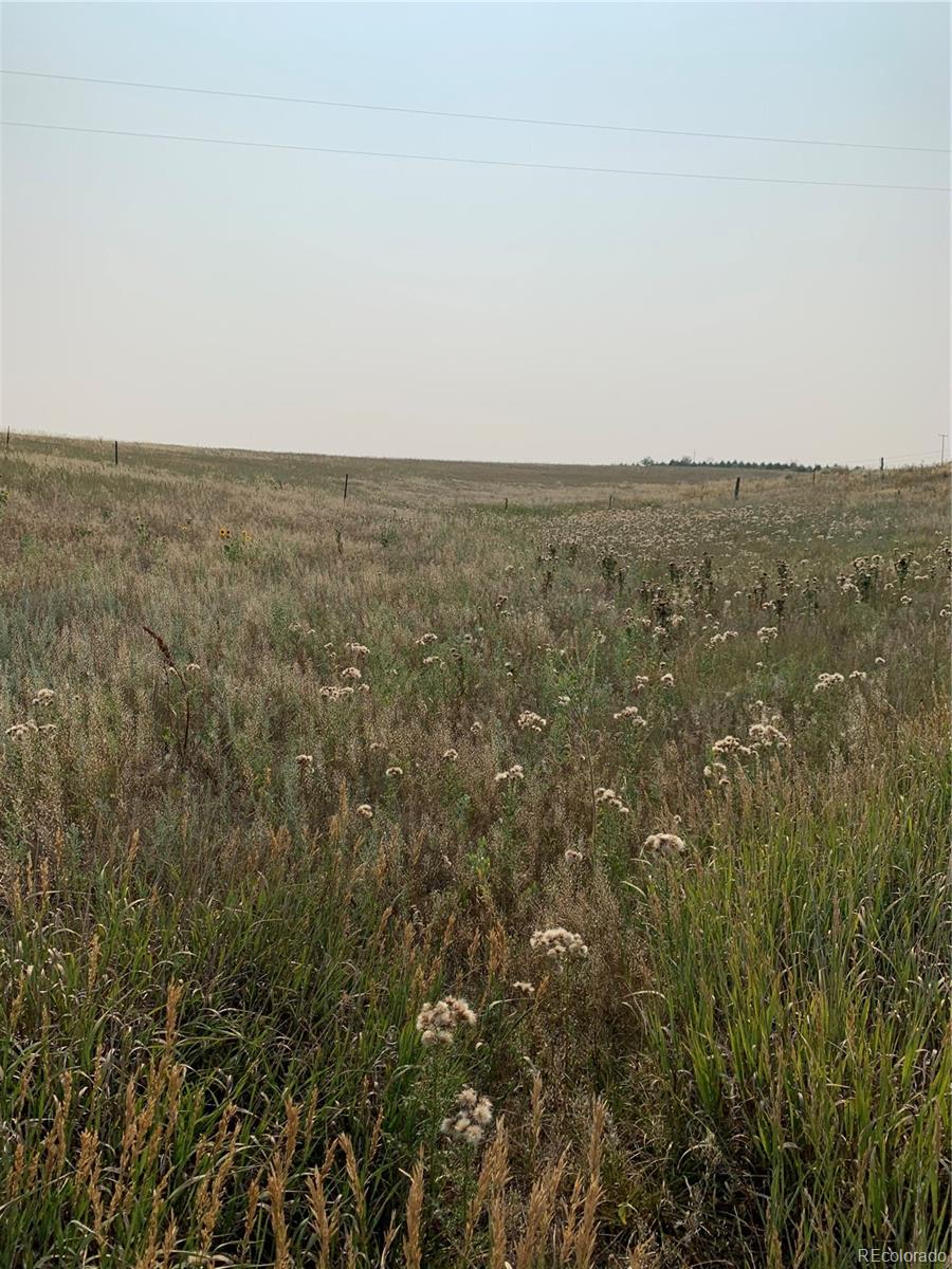 39115 County Road 166 Agate, CO 80101 - Photo 4 of 34