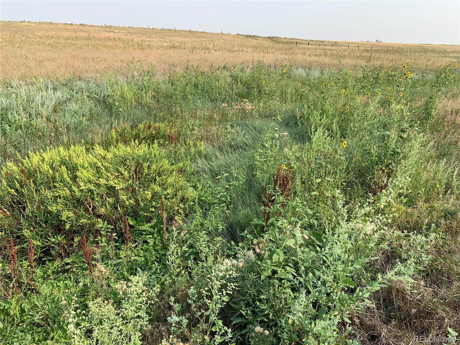 39115 County Road 166 Agate, CO 80101 - Photo 5 of 34