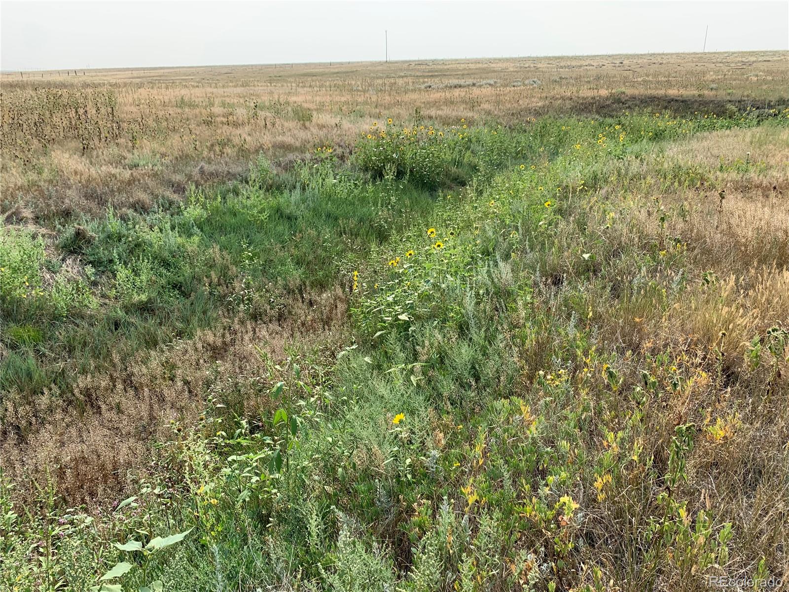 39115 County Road 166 Agate, CO 80101 - Photo 6 of 34