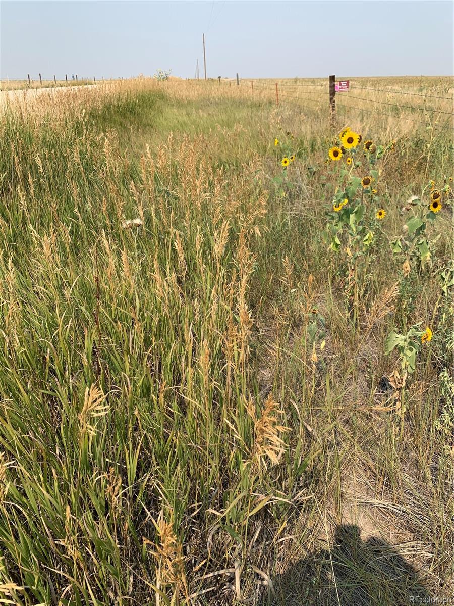 39115 County Road 166 Agate, CO 80101 - Photo 7 of 34