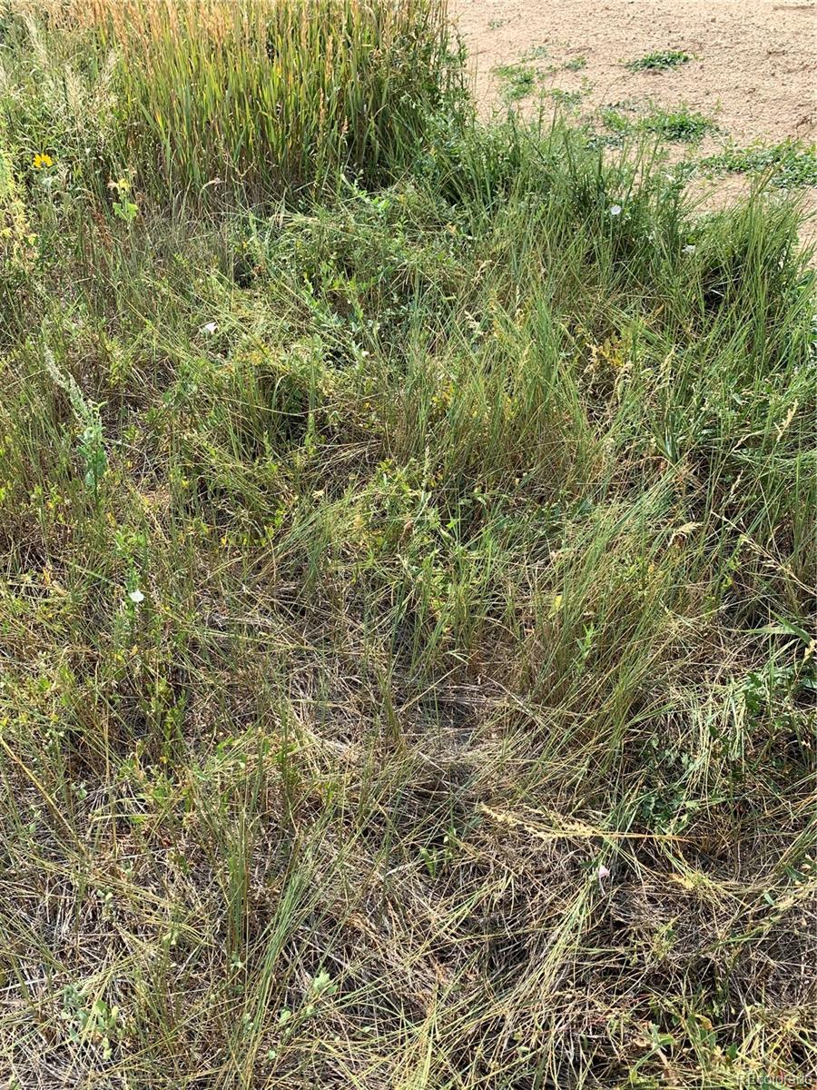 39115 County Road 166 Agate, CO 80101 - Photo 8 of 34