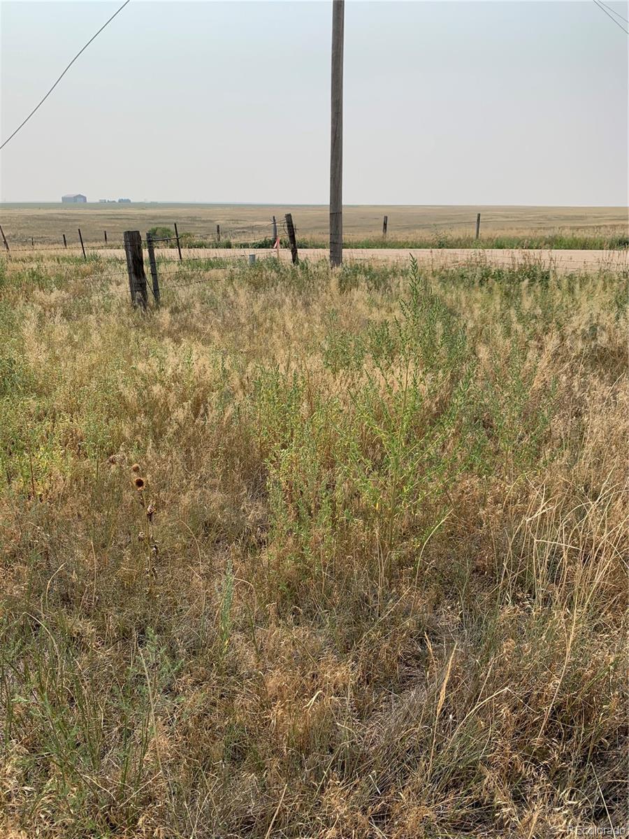 39115 County Road 166 Agate, CO 80101 - Photo 9 of 34