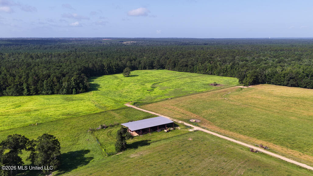 164 Lott Cemetary Road Perkinston, MS 39573 - Photo 62 of 68 pic-37
