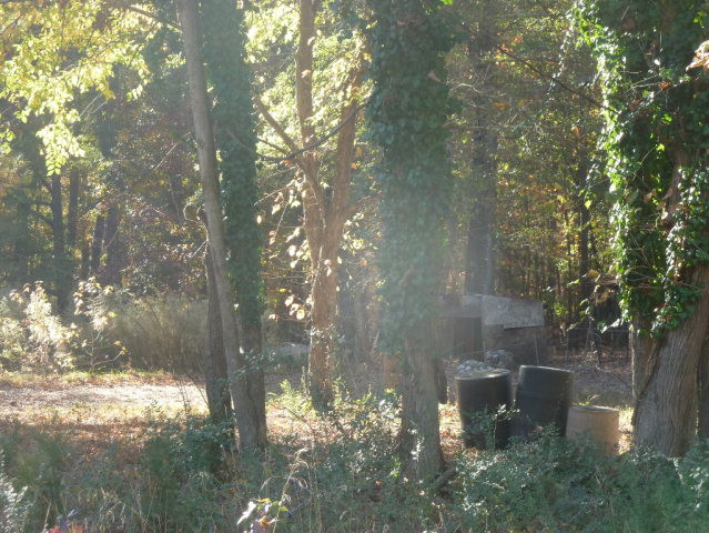1185 Maxim Road Lincolnton, GA 30817 - Photo 3 of 12