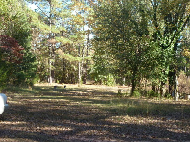 1185 Maxim Road Lincolnton, GA 30817 - Photo 6 of 12