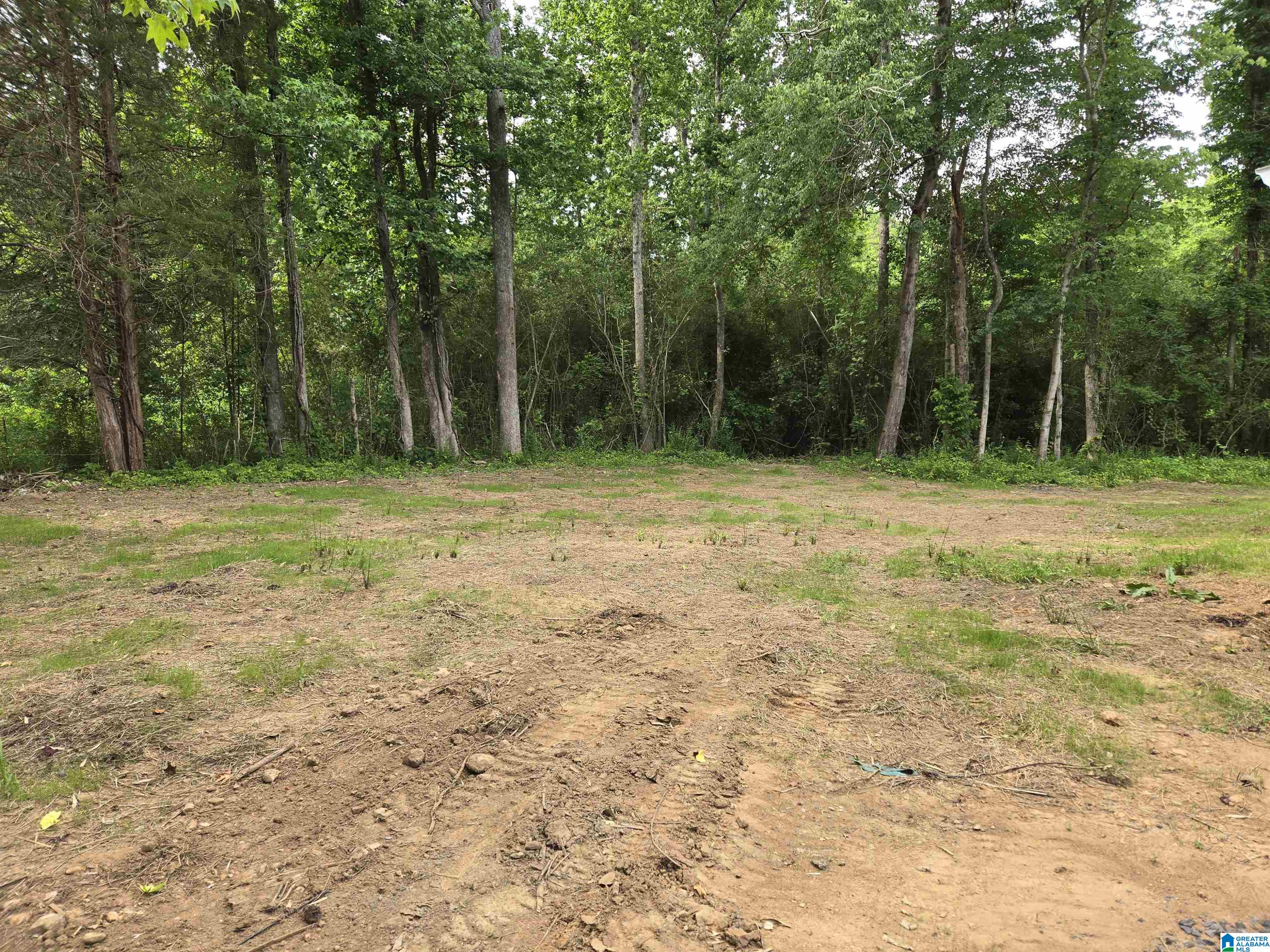 3344 Warrior Valley Road Altoona, AL 35952 - Photo 18 of 22