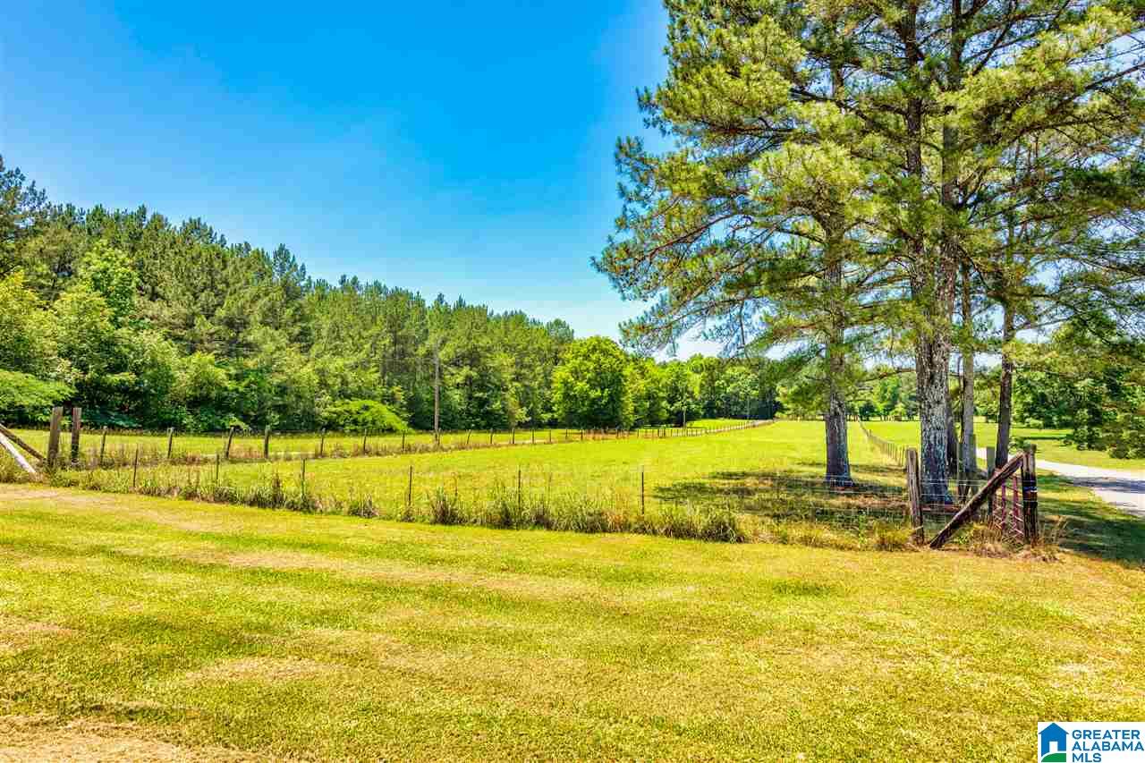 375 Country Church Road Harpersville, AL 35078 - Photo 9 of 35