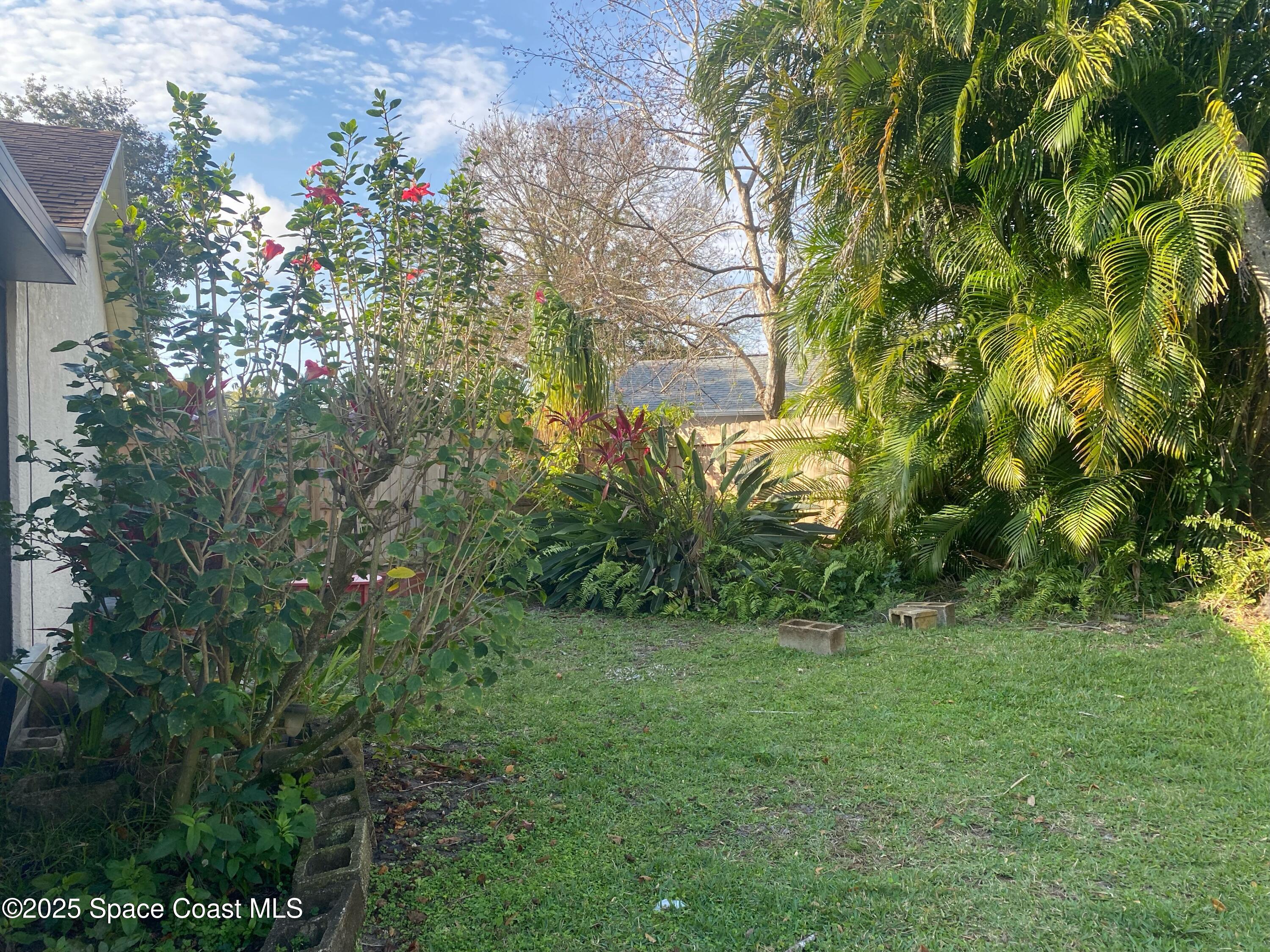 906 Black Pine Court Rockledge, FL 32955 - Photo 25 of 27 a view of a garden