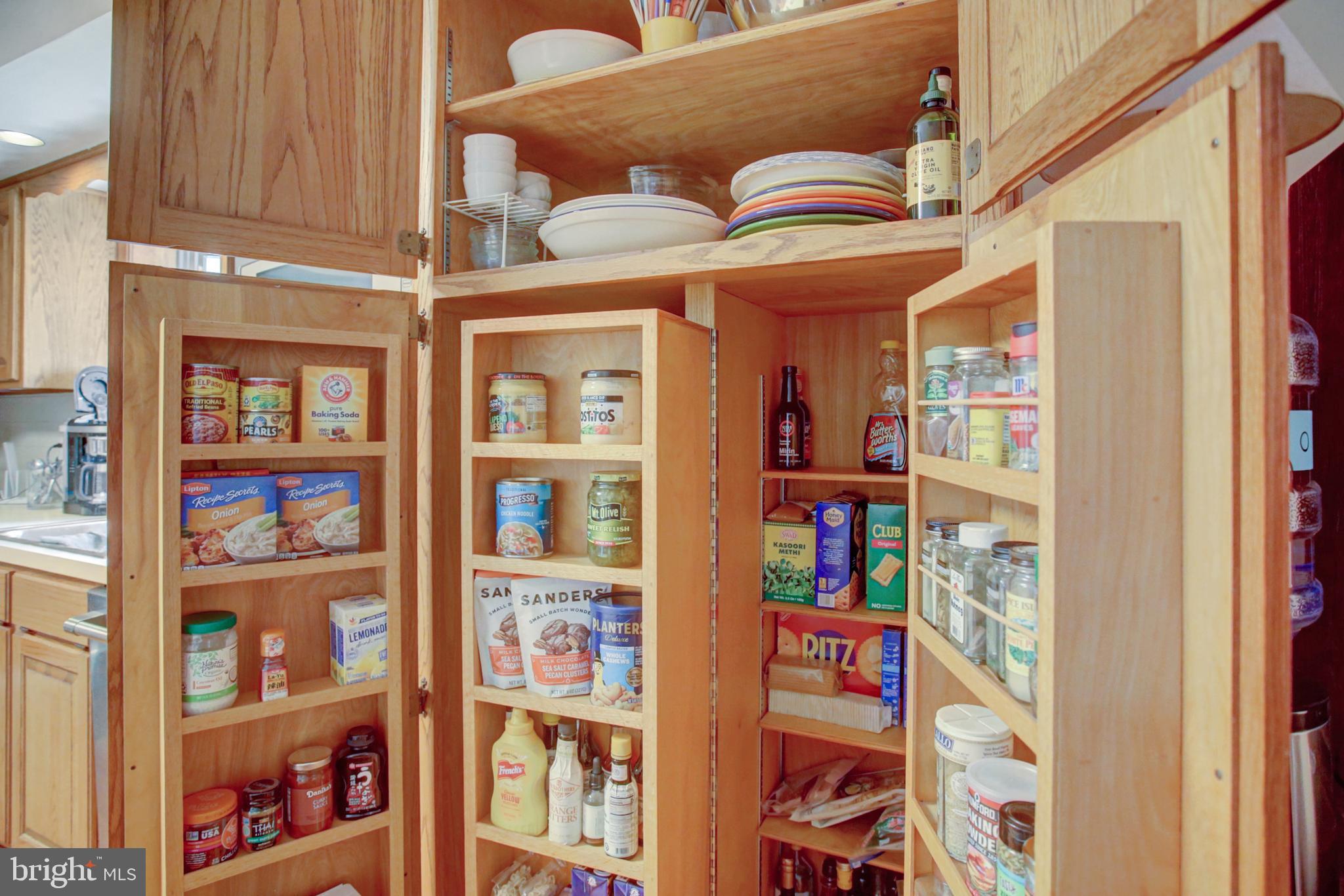 3560 Ritner Highway Newville, PA 17241 - Photo 20 of 81 Fold-out pantry