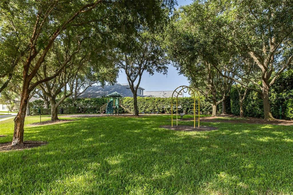 2151 Edelweiss Loop Trinity, FL 34655 - Photo 72 of 78