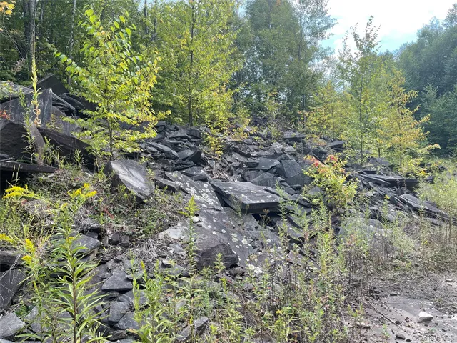 a view of outdoor space with green space