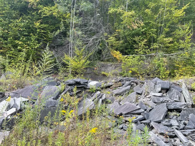 a view of a large yard with lots of tall trees