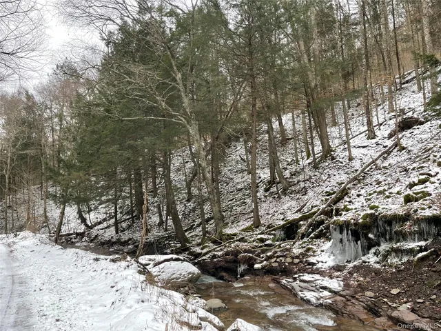 a view of outdoor space with lots of trees