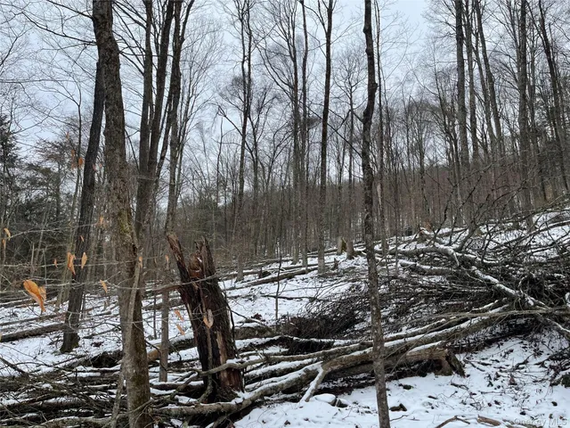 a view of a backyard of a house