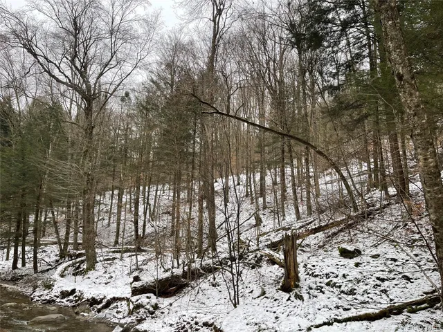 $339,000 | Carcass Brook Spur, Hancock, NY 13783