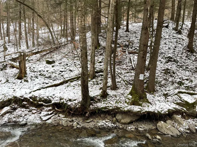 $339,000 | Carcass Brook Spur, Hancock, NY 13783