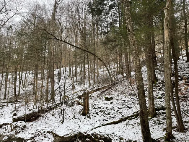 $339,000 | Carcass Brook Spur, Hancock, NY 13783