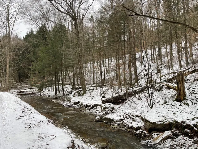 $339,000 | Carcass Brook Spur, Hancock, NY 13783