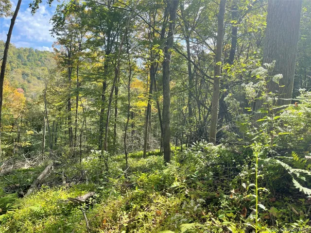 a view of street with lots of trees