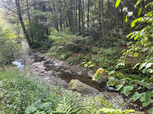 a backyard of a house with a lot of plants and trees