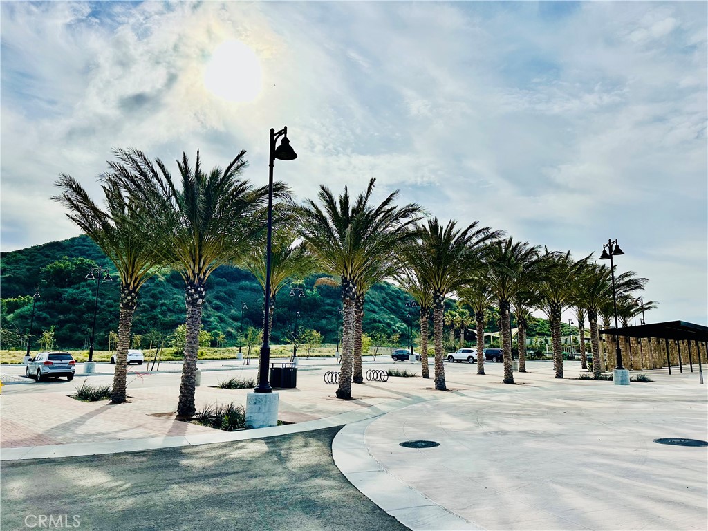 20318 West Vía Urbino Porter Ranch, CA 91326 - Photo 32 of 34 a row of palm trees and swimming pool in the backyard of a house