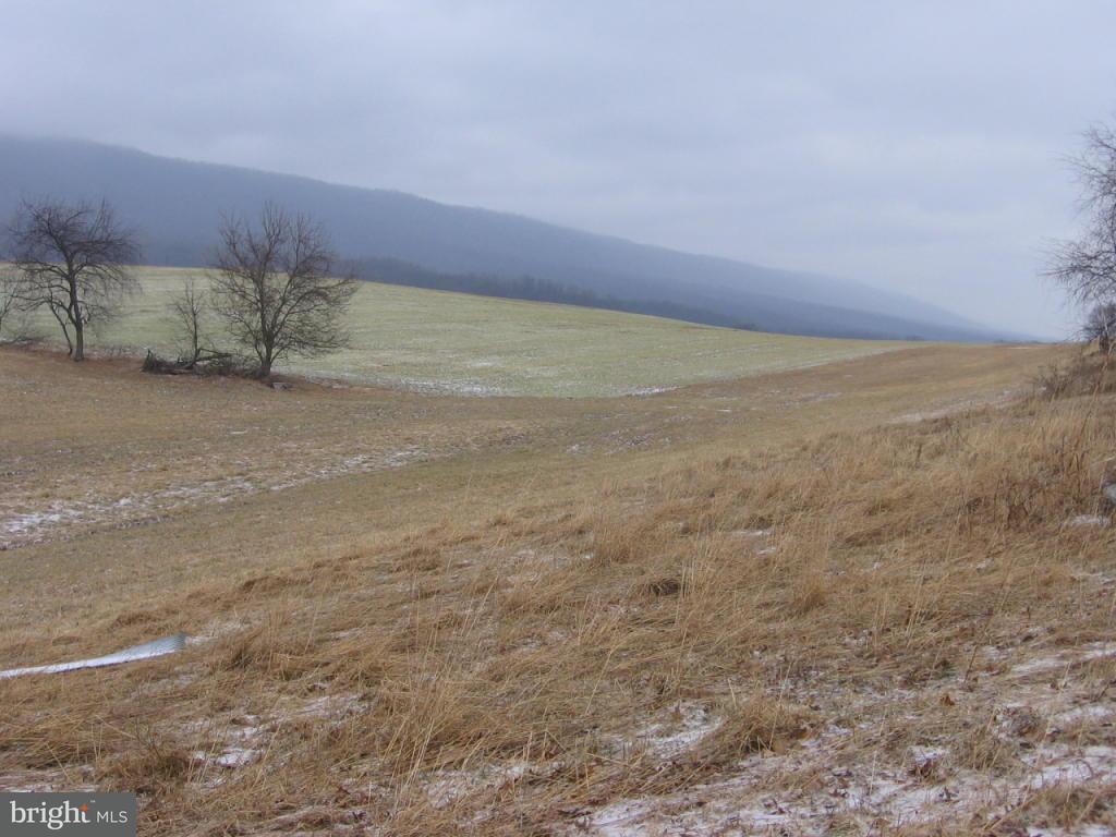 Gallery Image 6