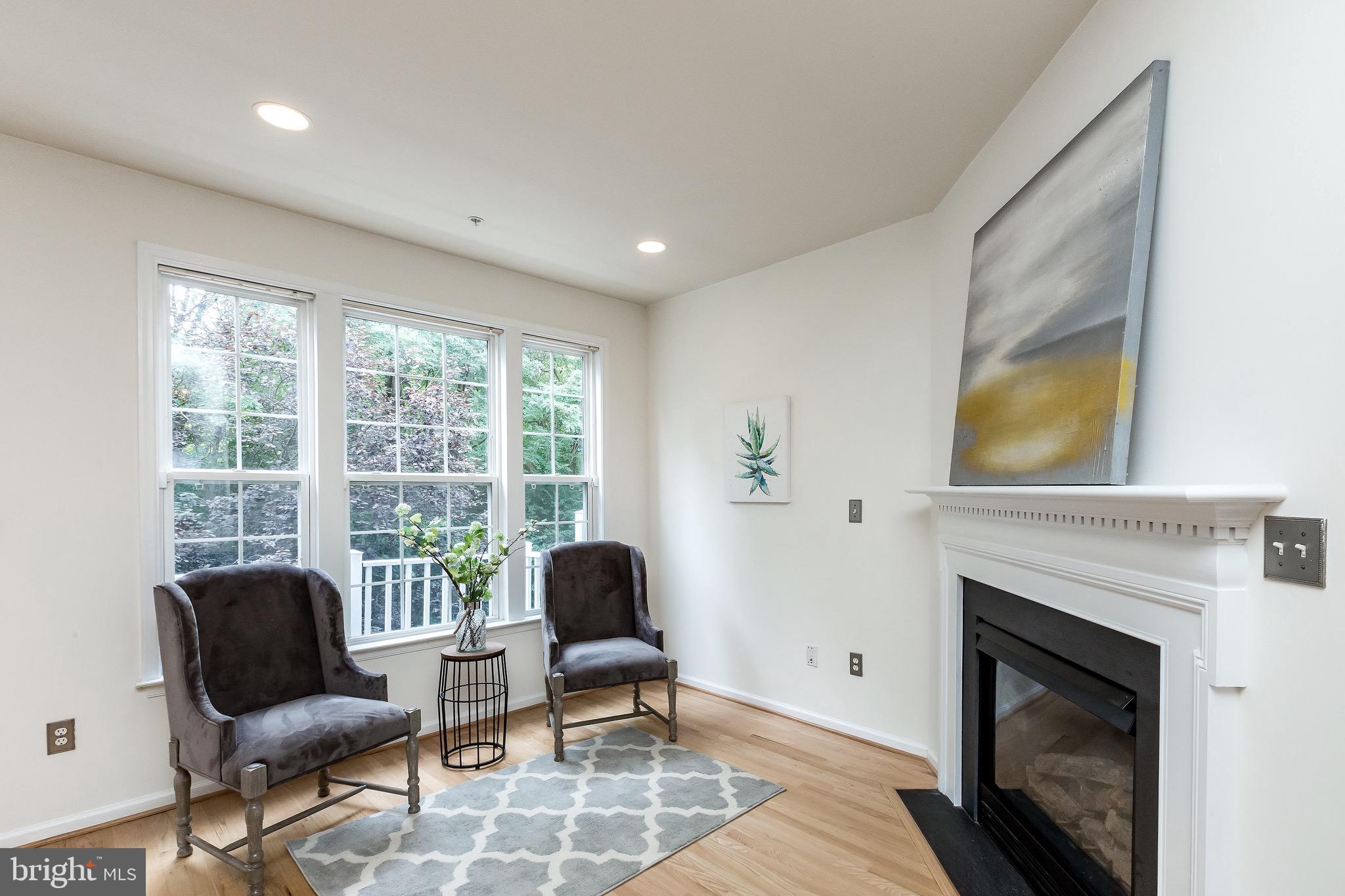 2102 Darcy Green Place Silver Spring, MD 20910 - Photo 20 of 36 Family room & Gas Fireplace