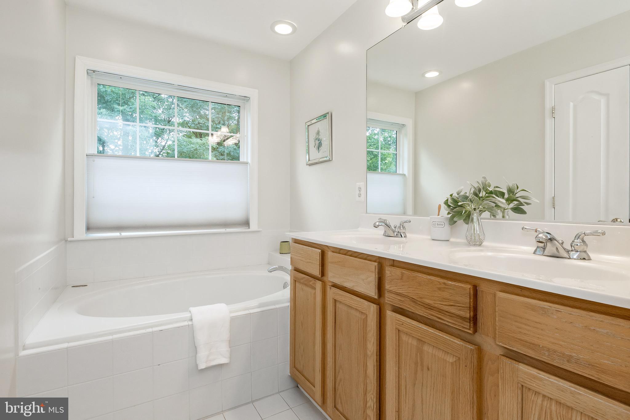 2102 Darcy Green Place Silver Spring, MD 20910 - Photo 24 of 36 Master Superbath