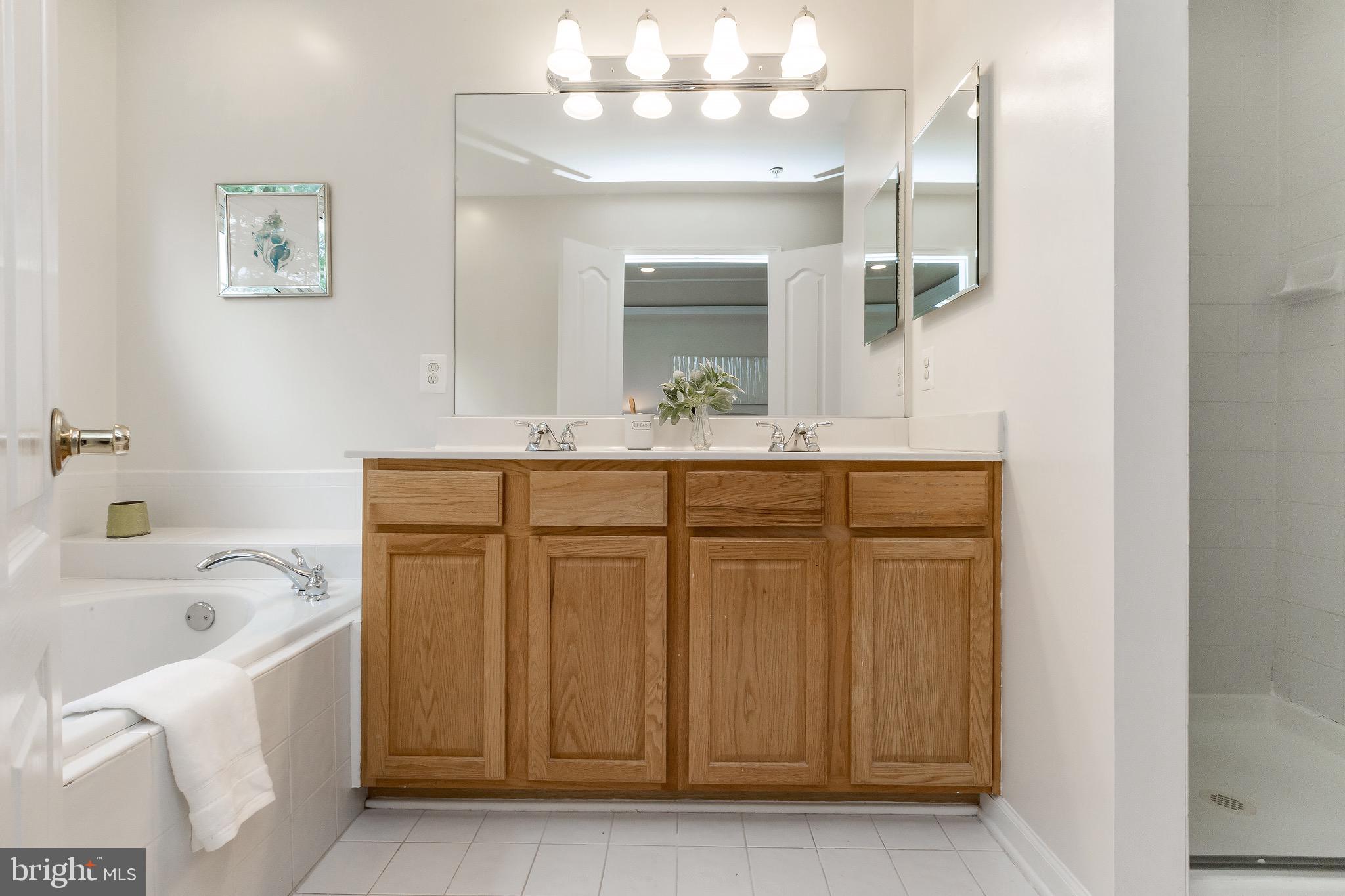 2102 Darcy Green Place Silver Spring, MD 20910 - Photo 25 of 36 Master Superbath