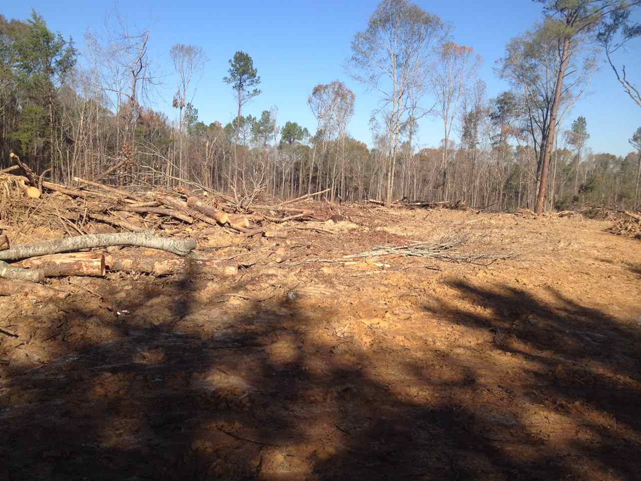 1255 Blackmon Road Terry, MS 39170 - Photo 7 of 19 Photo 8