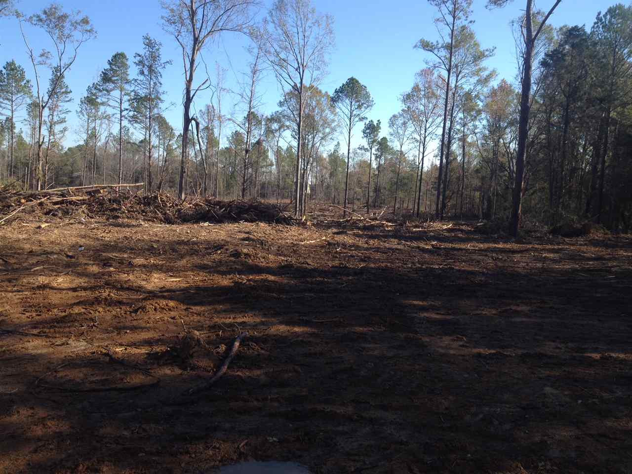 1255 Blackmon Road Terry, MS 39170 - Photo 8 of 19 Photo 9