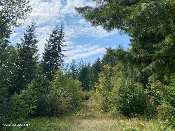 $490,000 | Lot B Highway 200, Hope, ID 83836