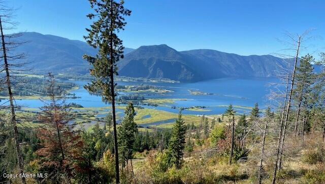 Lot B Highway 200 Hope, ID 83836 - Photo 21 of 26 Monarch View 20