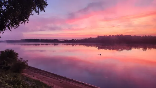 $372,500 | 255 Rock Pile Lane, Counce, TN 38326