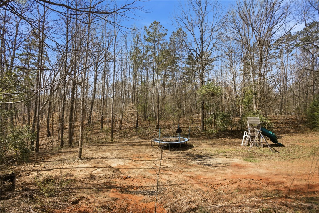 184 Petty Road Seneca, SC 29672 - Photo 37 of 45